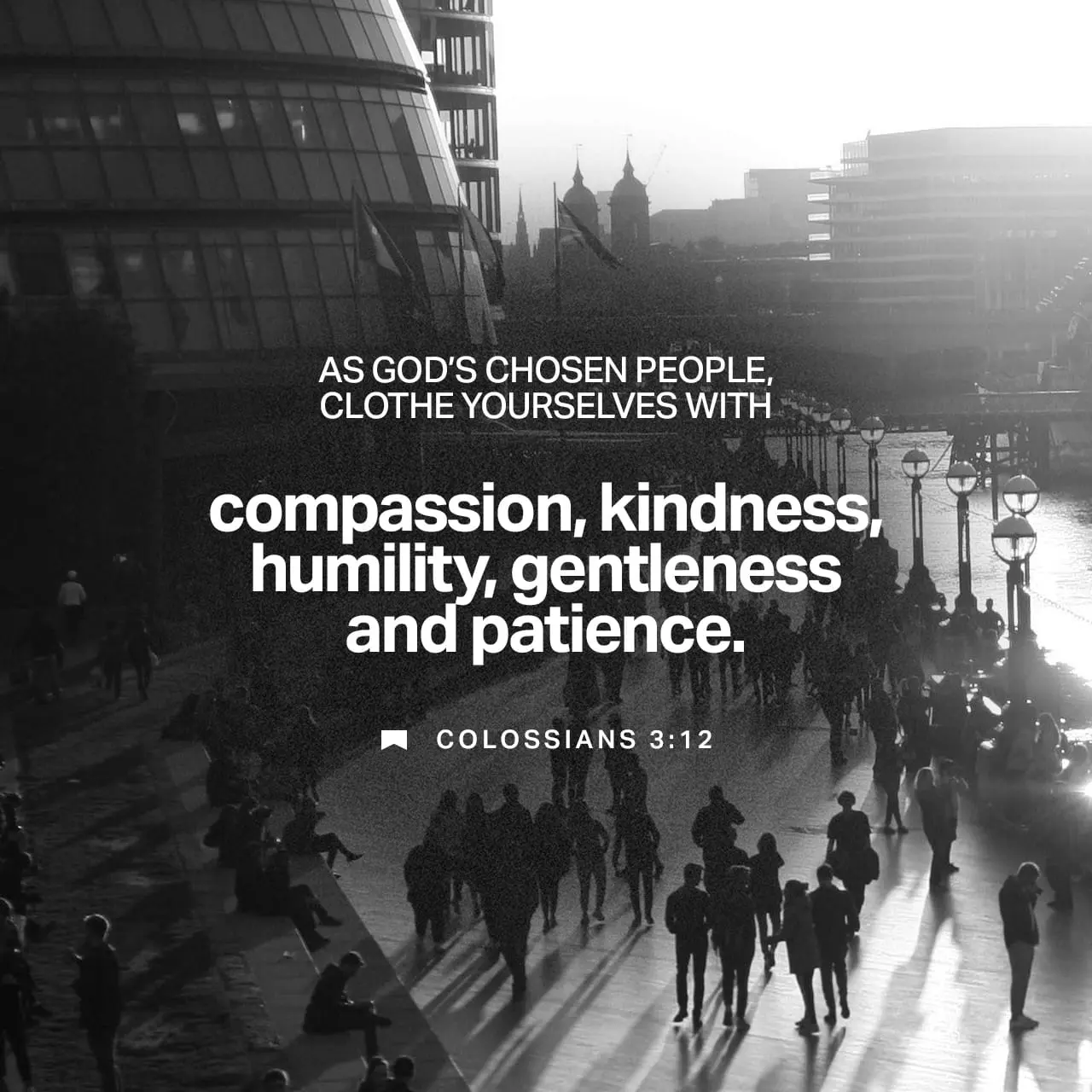 Verse Image…